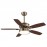 Ventilador Braw DC Cuero 106,7Ø 30w Mando Memoria y temporizador 181891536
