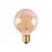 LED BOMBILLAS E27 6,5W 2200K 650lm G95 R09229